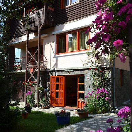 Casa Camelia Hotell Sovata Exteriör bild