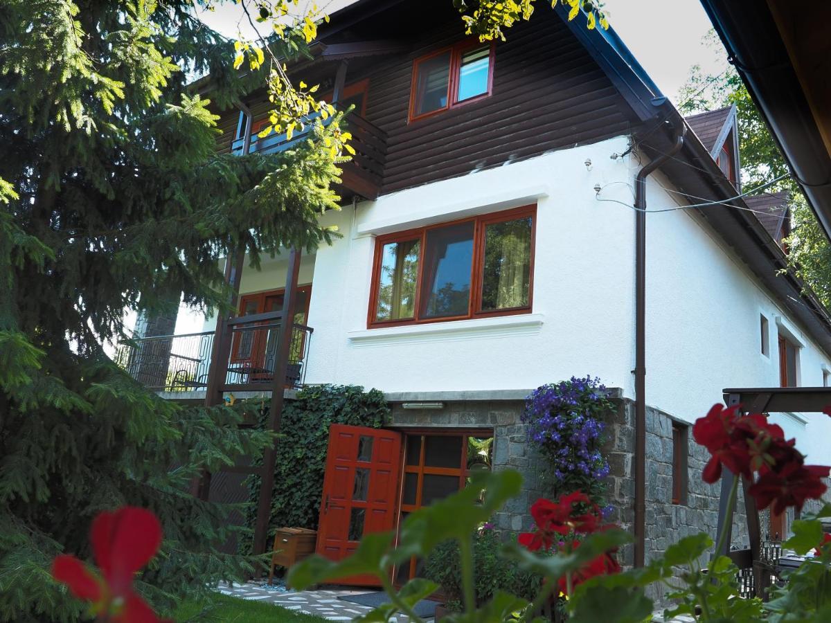 Casa Camelia Hotell Sovata Exteriör bild