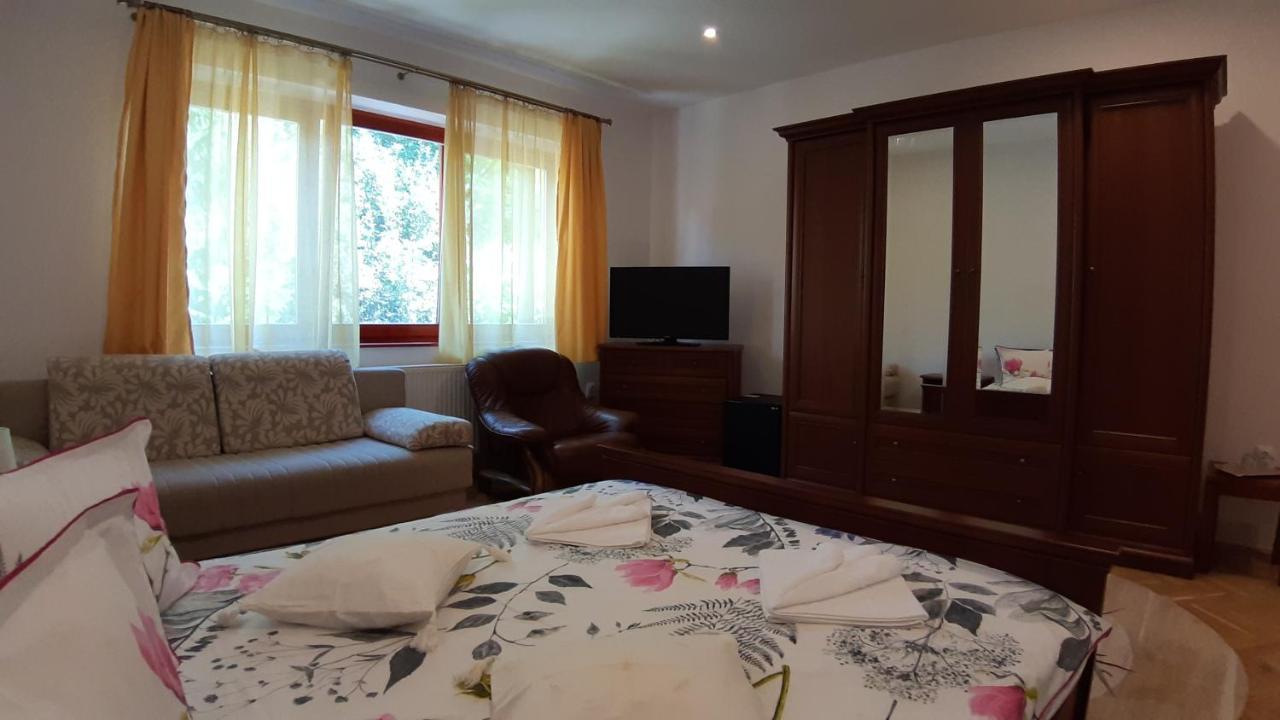 Casa Camelia Hotell Sovata Exteriör bild