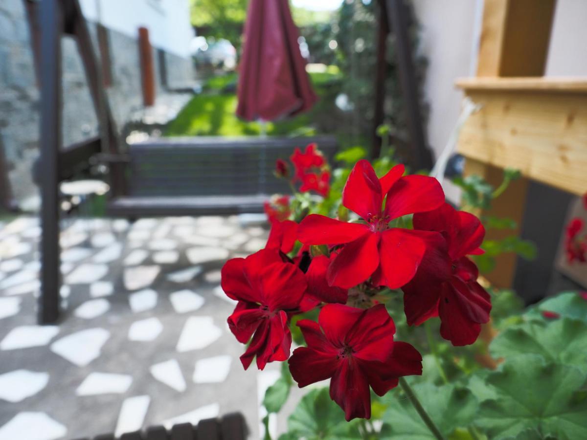Casa Camelia Hotell Sovata Exteriör bild