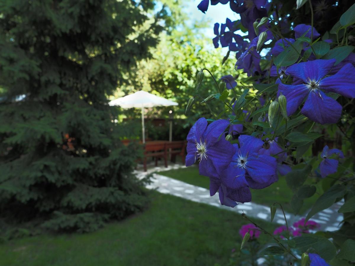 Casa Camelia Hotell Sovata Exteriör bild