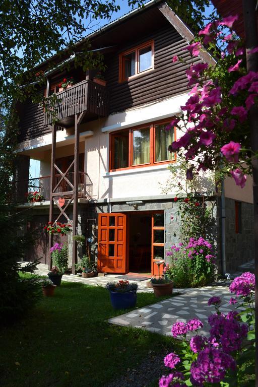 Casa Camelia Hotell Sovata Exteriör bild